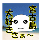 アザラシグマ王の宮古島スタンプ（個別スタンプ：1）