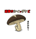 なごみ野菜and果物（個別スタンプ：3）