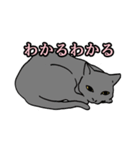 だれねこ（個別スタンプ：14）