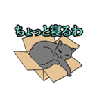 だれねこ（個別スタンプ：22）