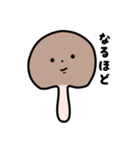 椎茸スタンプ（個別スタンプ：10）