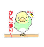 インコのピースケ（個別スタンプ：3）