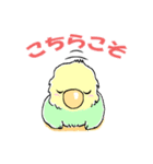 インコのピースケ（個別スタンプ：4）