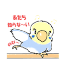 インコのピースケ（個別スタンプ：6）