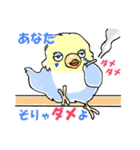 インコのピースケ（個別スタンプ：7）