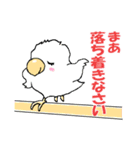 インコのピースケ（個別スタンプ：8）