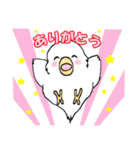 インコのピースケ（個別スタンプ：11）