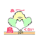 インコのピースケ（個別スタンプ：15）