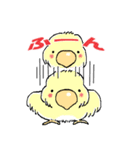 インコのピースケ（個別スタンプ：17）
