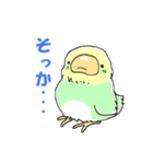 インコのピースケ（個別スタンプ：18）