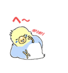 インコのピースケ（個別スタンプ：19）