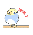インコのピースケ（個別スタンプ：20）