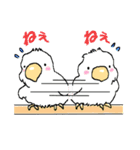 インコのピースケ（個別スタンプ：21）