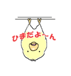 インコのピースケ（個別スタンプ：23）