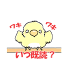 インコのピースケ（個別スタンプ：24）