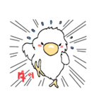 インコのピースケ（個別スタンプ：25）