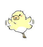インコのピースケ（個別スタンプ：26）