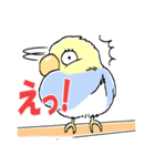 インコのピースケ（個別スタンプ：33）