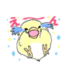 インコのピースケ（個別スタンプ：36）