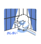 インコのピースケ（個別スタンプ：40）