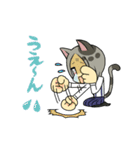 猫耳ともめん（個別スタンプ：10）