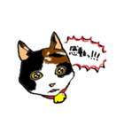 Read the Kitty More（個別スタンプ：25）