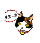 Read the Kitty More（個別スタンプ：26）