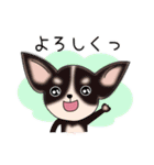 おしゃべりスムチー2（個別スタンプ：14）