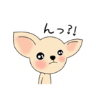 おしゃべりスムチー2（個別スタンプ：31）