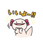 うちのウーパールーパーさん（個別スタンプ：7）