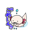 うちのウーパールーパーさん（個別スタンプ：9）