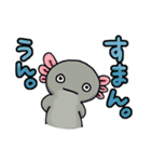 うちのウーパールーパーさん（個別スタンプ：10）