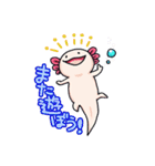 うちのウーパールーパーさん（個別スタンプ：12）