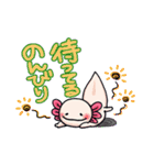 うちのウーパールーパーさん（個別スタンプ：14）