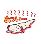 うちのウーパールーパーさん（個別スタンプ：15）