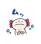 うちのウーパールーパーさん（個別スタンプ：17）