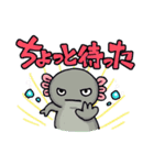 うちのウーパールーパーさん（個別スタンプ：20）