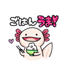 うちのウーパールーパーさん（個別スタンプ：21）