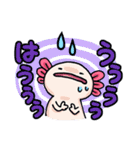 うちのウーパールーパーさん（個別スタンプ：29）