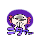 うちのウーパールーパーさん（個別スタンプ：30）