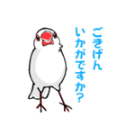 文鳥の日々（個別スタンプ：2）