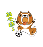 柴犬チャタロウと仲間たち（個別スタンプ：15）