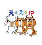 柴犬チャタロウと仲間たち（個別スタンプ：37）