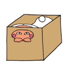 だって、うさぎなんだもん（個別スタンプ：8）