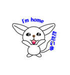 フェネック狐のシロちゃん（個別スタンプ：4）