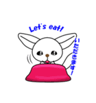 フェネック狐のシロちゃん（個別スタンプ：5）