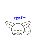 フェネック狐のシロちゃん（個別スタンプ：14）