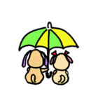 わんダフルくんの彼女を想う毎日（個別スタンプ：19）