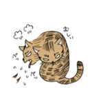 おれはキャツ（個別スタンプ：36）