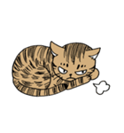 おれはキャツ（個別スタンプ：39）